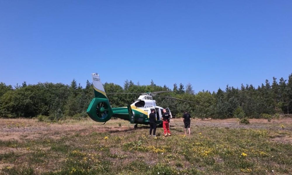 Man in hospital after 'chainsaw incident' at Bearpark Colliery Woods