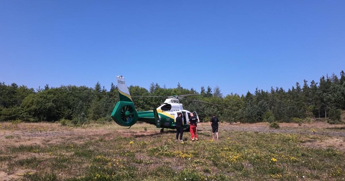Man in hospital after 'chainsaw incident' at Bearpark Colliery Woods