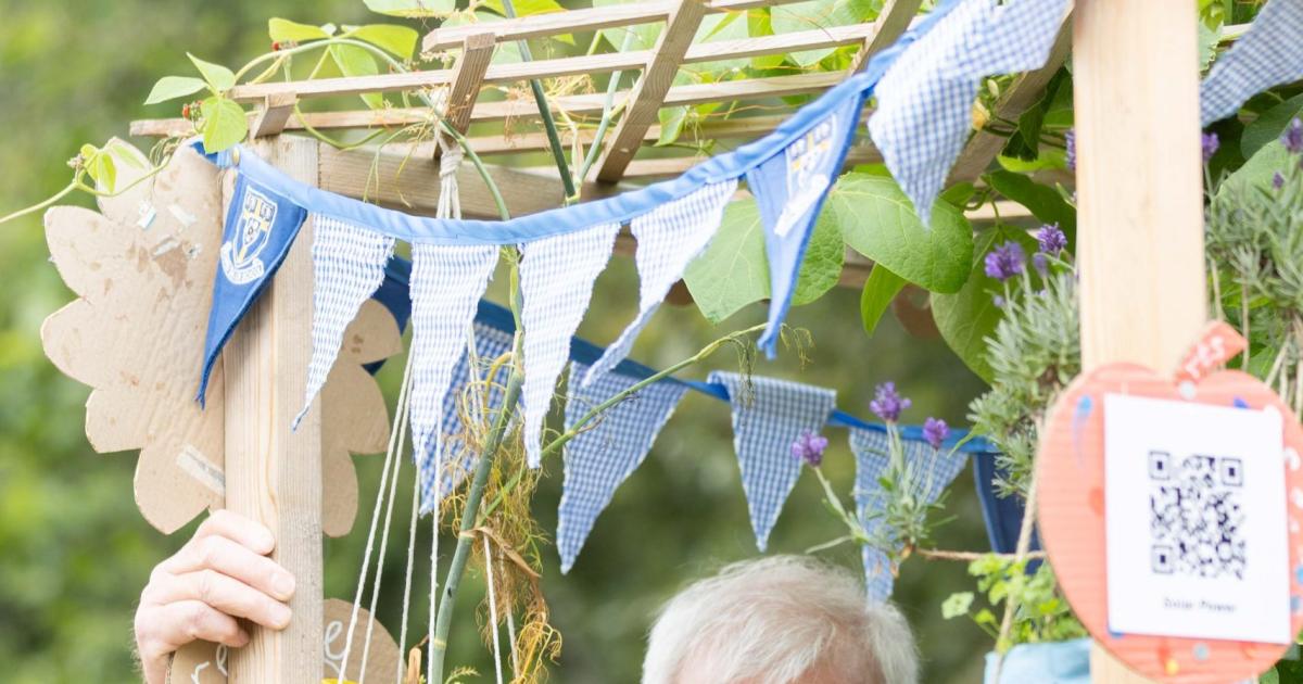 Channel 5's The Yorkshire Vet TV show 'almost didn't happen'