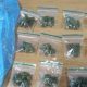 Car stopped on New Lane reveals cannabis bags in Breightmet