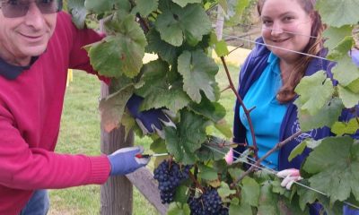 Brew York and Goose Beck Vineyard speakers at free event