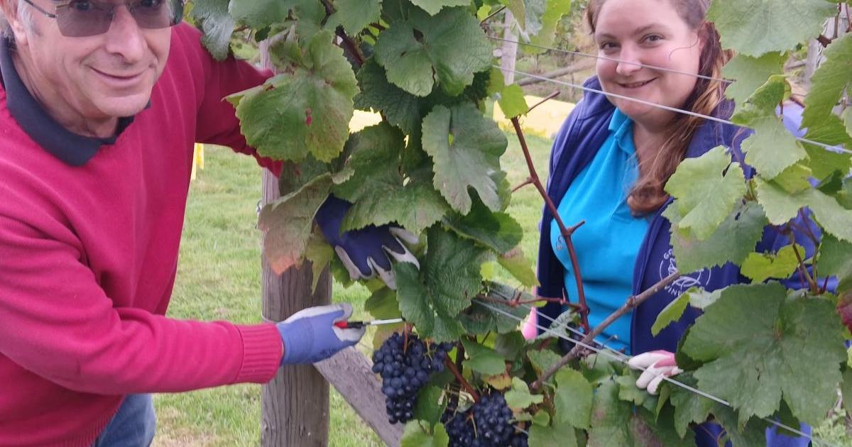Brew York and Goose Beck Vineyard speakers at free event