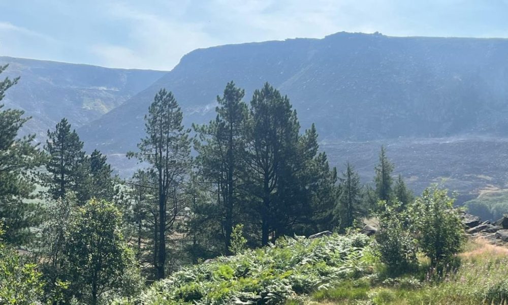 Two more arrests made following Dovestone moor fire