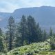 Two more arrests made following Dovestone moor fire