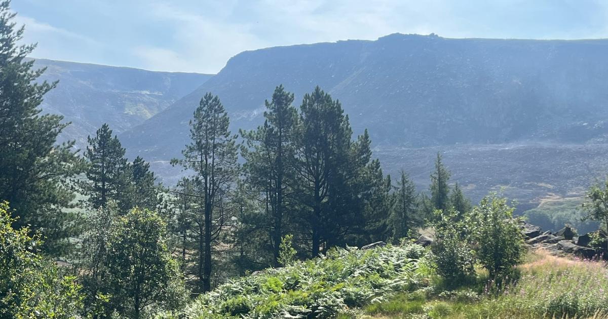Two more arrests made following Dovestone moor fire