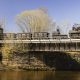 Replica Locomotion No.1 steam rides to start at Darlington