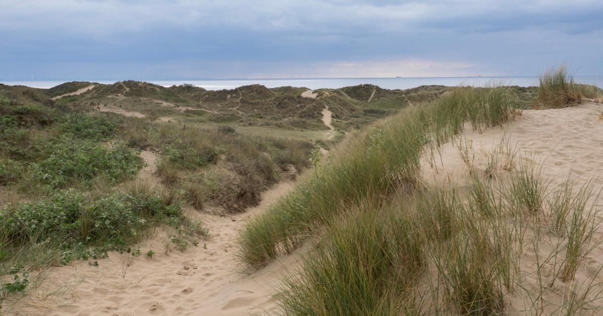 Formby Beach issues summer warning to Bolton visitors