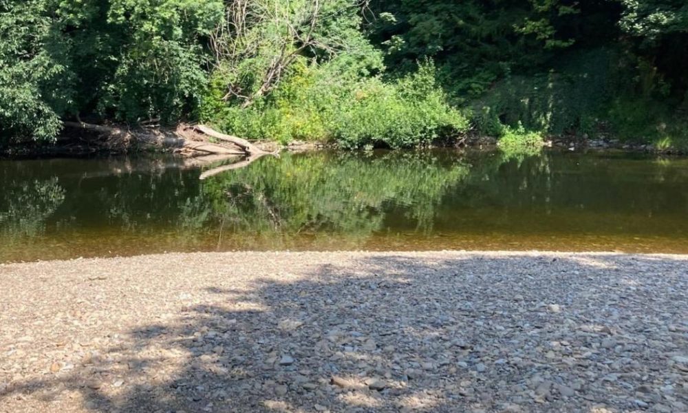 Warning over River Swale swimming at Richmond this summer