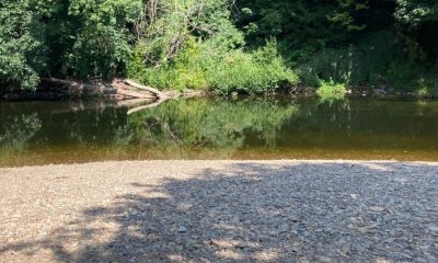 Warning over River Swale swimming at Richmond this summer