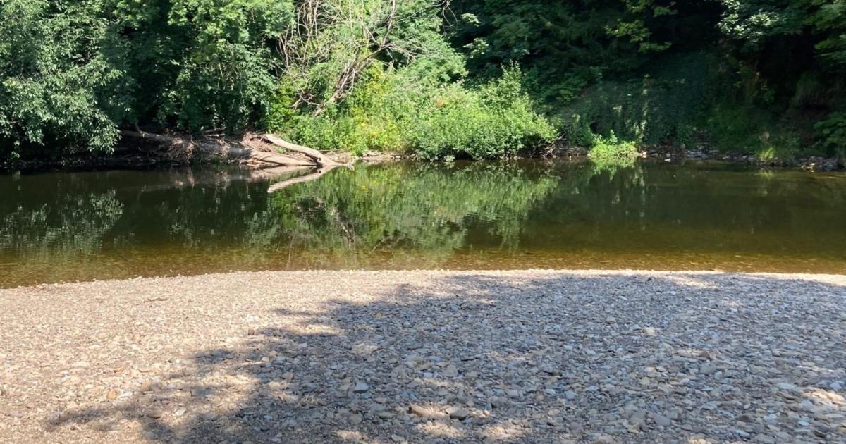 Warning over River Swale swimming at Richmond this summer