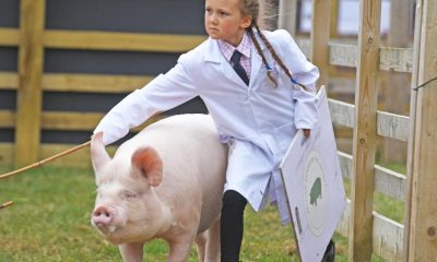 Pictures - Great Yorkshire Show 2026 at Yorkshire Showground