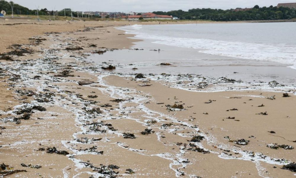 Thousands of plastic pellets on Littlehaven beach after ship crash
