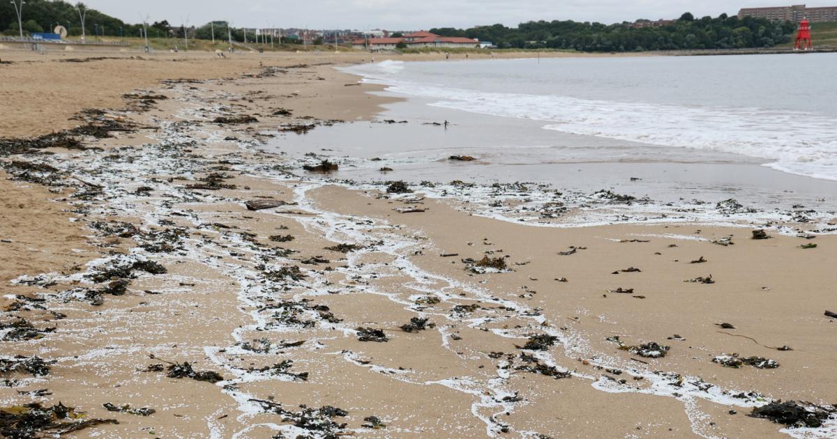 Thousands of plastic pellets on Littlehaven beach after ship crash
