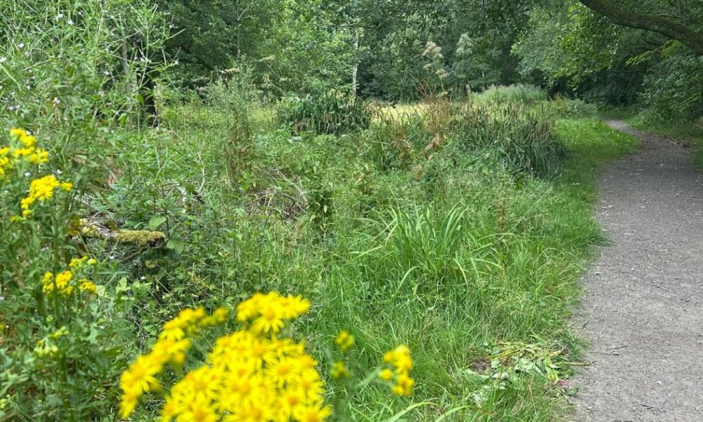 Nine home plan at Longsight Lane after appeal decision