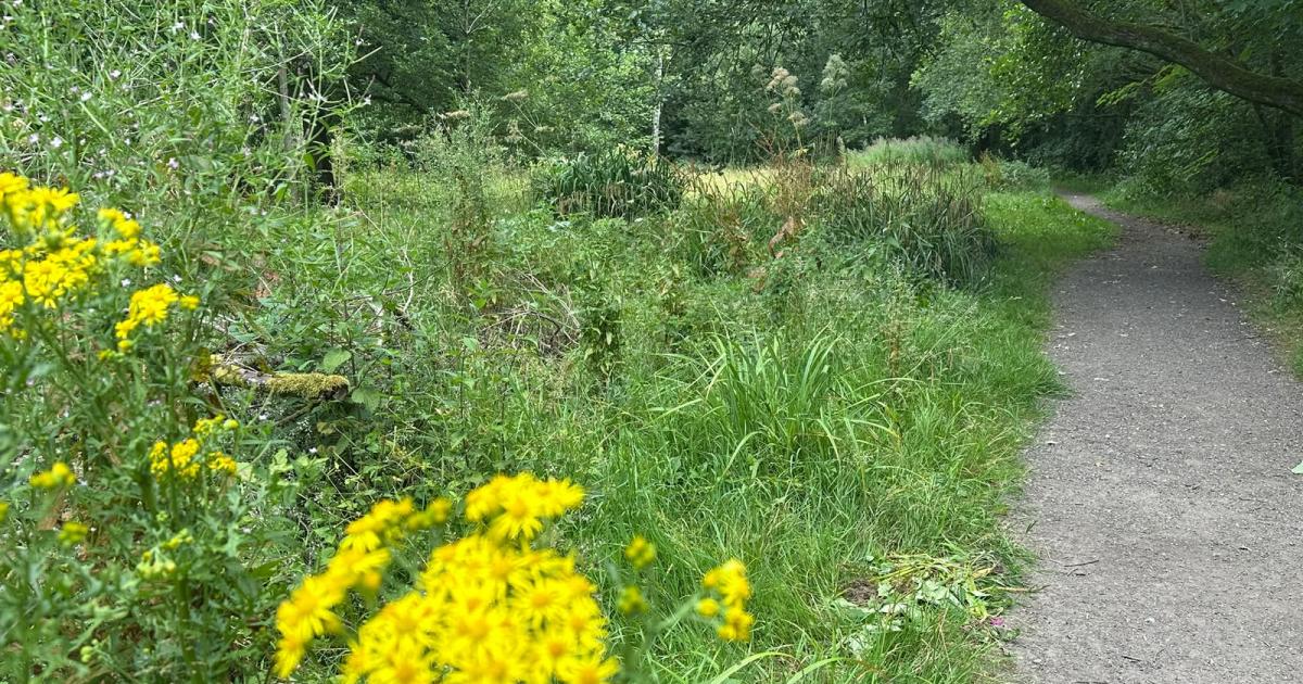 Nine home plan at Longsight Lane after appeal decision