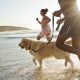 Vet issues warning to dog owners taking dogs to the beach