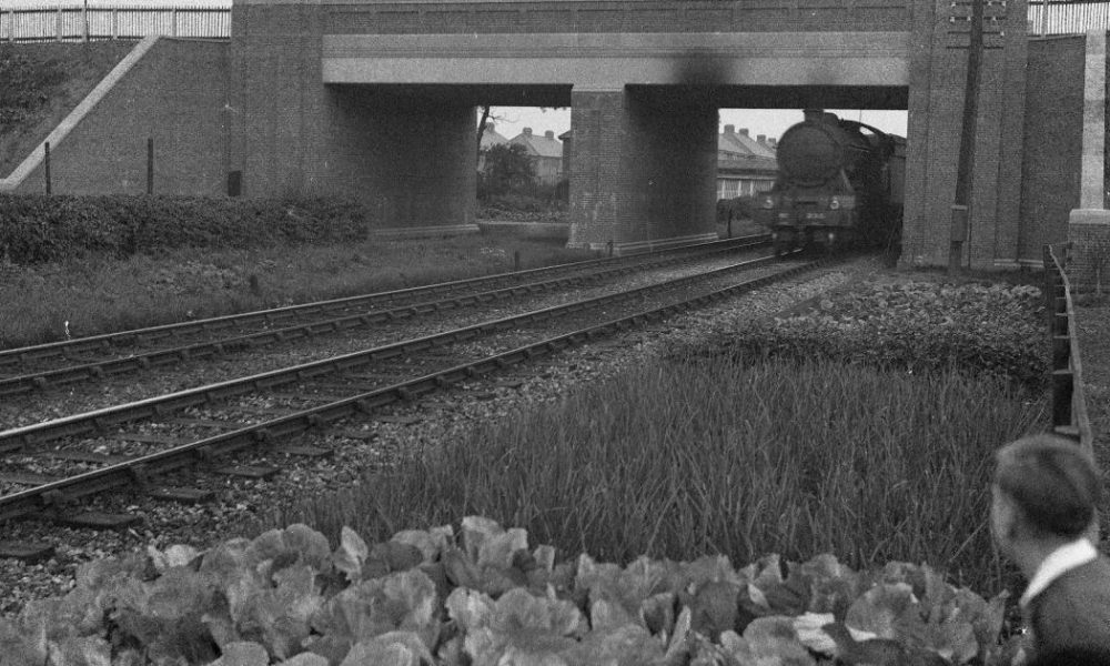 Why Crichton Avenue Bridge was built in York in the 1930s