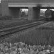 Why Crichton Avenue Bridge was built in York in the 1930s