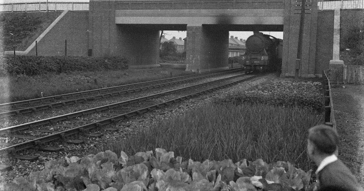 Why Crichton Avenue Bridge was built in York in the 1930s