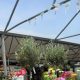East Durham Garden Centre receives glowing reviews