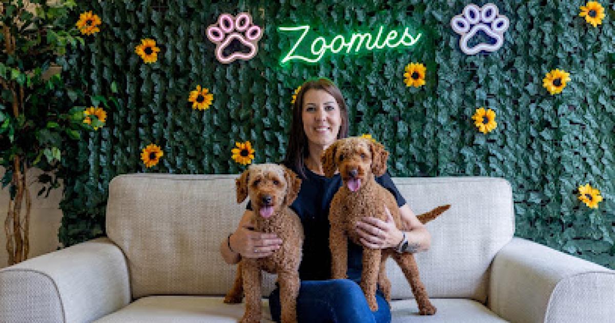 First look inside Shildon's new indoor dog soft play centre