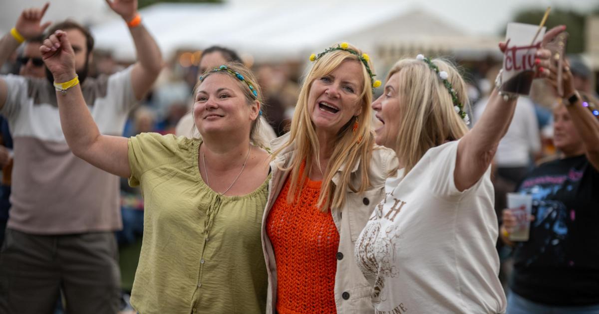 25 pictures as Ayclive festival returns to Newton Aycliffe
