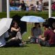 When will the next heatwave hit the UK? Met Office forecast