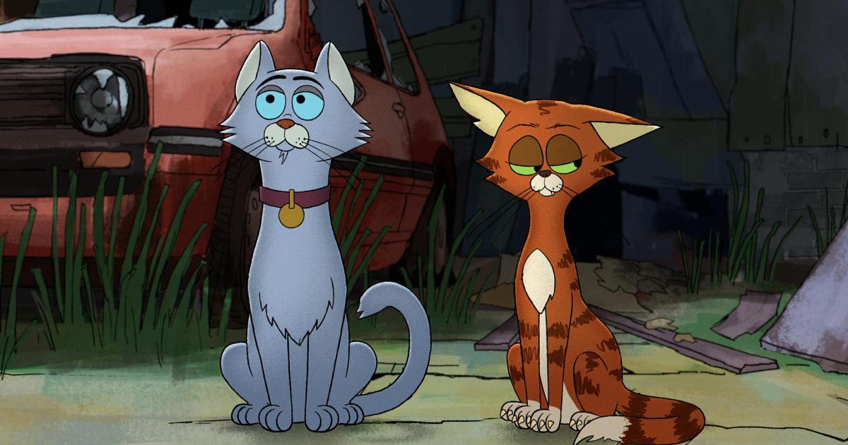 Diane Morgan as she reunites with Ricky Gervais on Alley Cats
