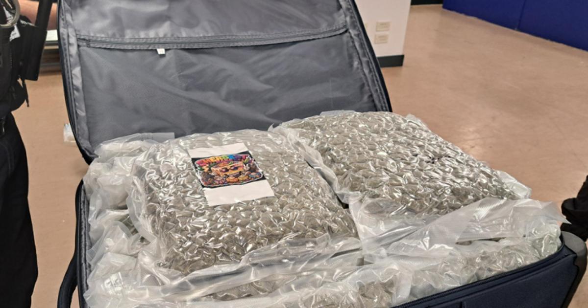 North East regional police agency hails success of drug bust