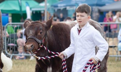 Ryedale Show 2026 is held at Duncombe Park, Helmsley, today