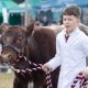 Ryedale Show 2026 is held at Duncombe Park, Helmsley, today
