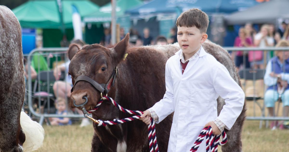 Ryedale Show 2026 is held at Duncombe Park, Helmsley, today