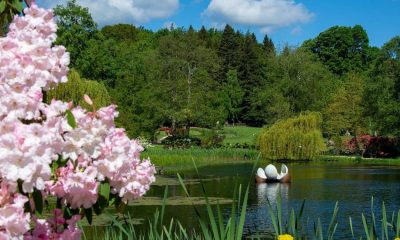Inside the Himalayan Garden and Sculpture Park near Ripon