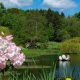 Inside the Himalayan Garden and Sculpture Park near Ripon