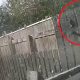 Video shows killer mum of Isabelle Welsh smoking as daughter lay dying