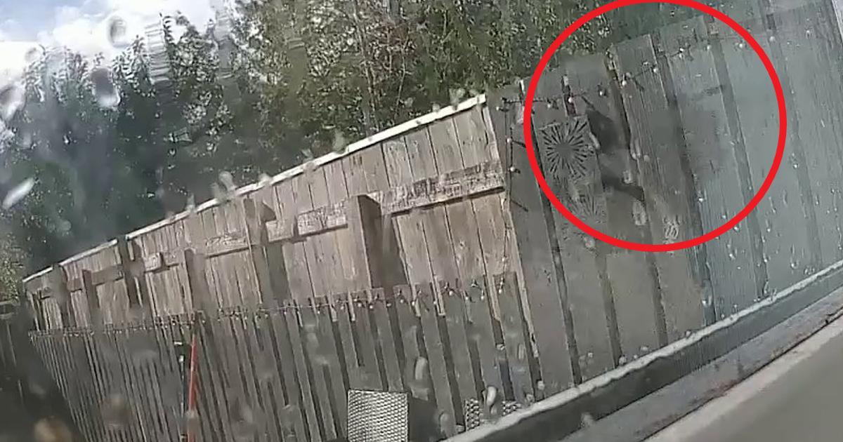 Video shows killer mum of Isabelle Welsh smoking as daughter lay dying
