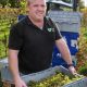 North Yorkshire vineyards report on 2026 harvest prospects