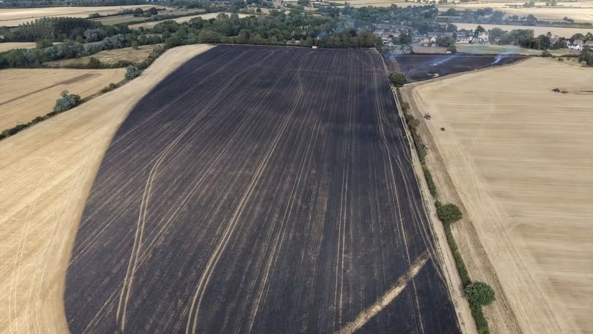 Cambridgeshire Live