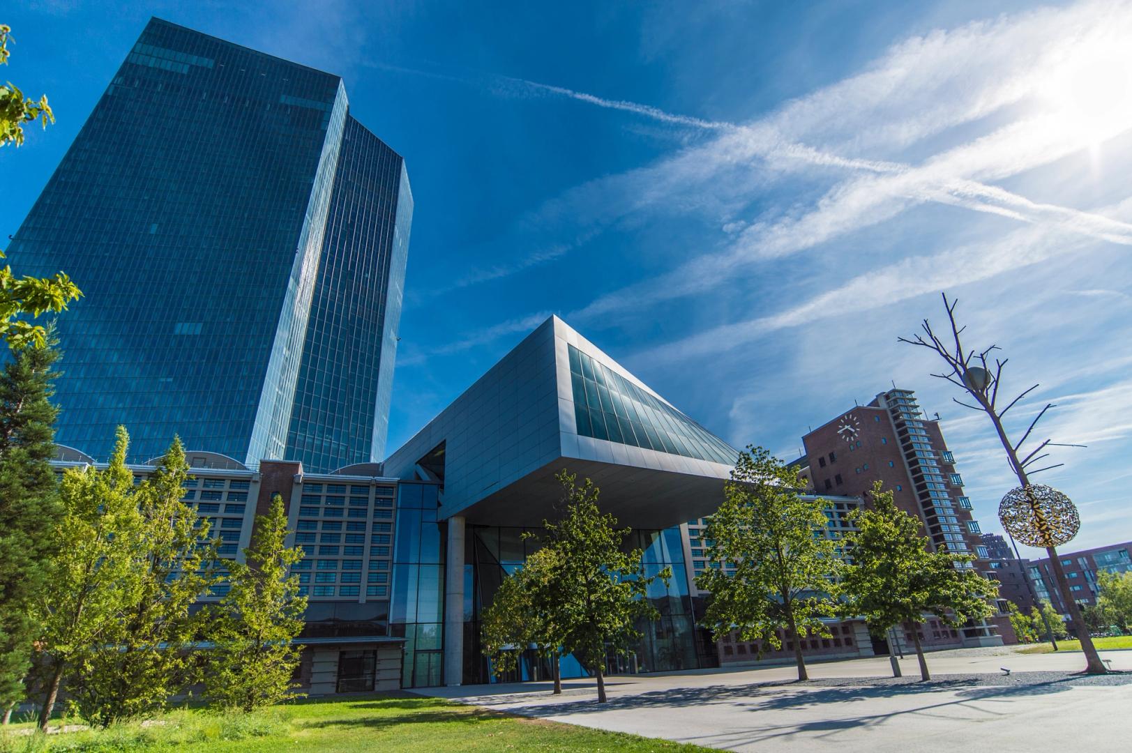 ECB picks 36 firms including Deutsche Bank and Revolut for CBDC pilot