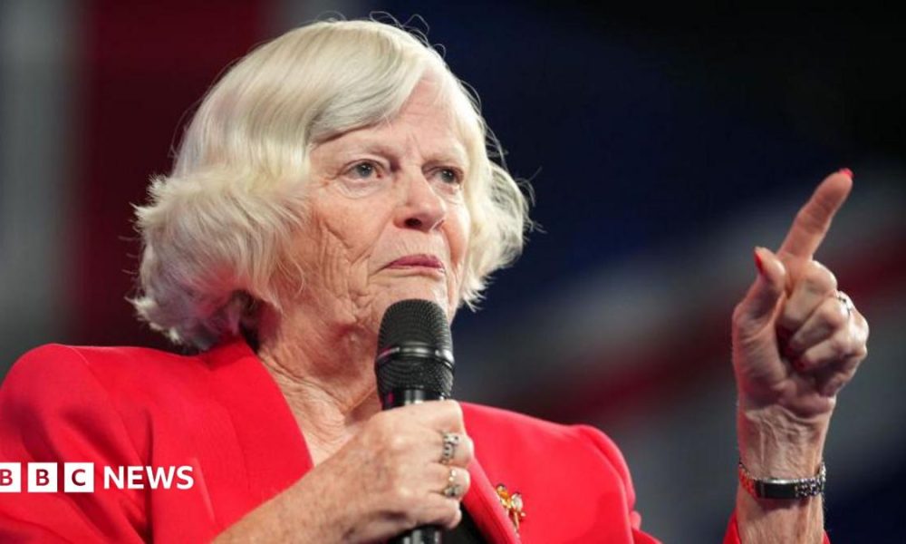 Ann Widdecombe wears a red jacket and holds a microphone while speaking at the Reform Party 2024 Conference.