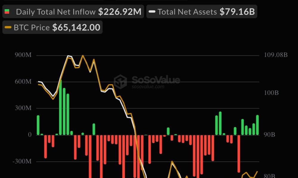 Bitcoin ETFs post a fifth straight day of inflows in a first since April