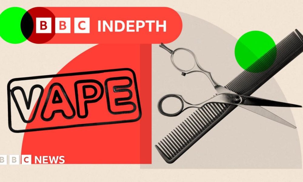 BBC InDepth