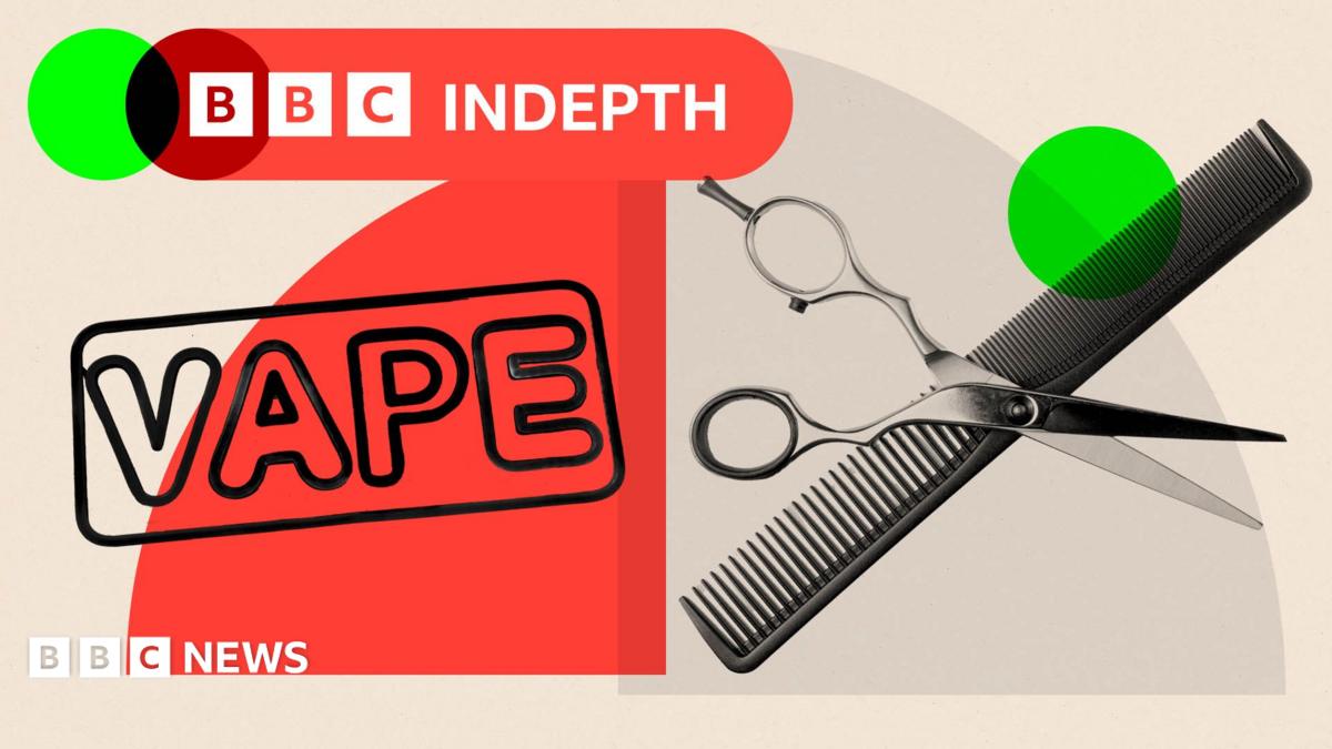 BBC InDepth