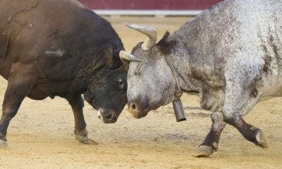 Bulls face a test unlike anything in bitcoin's 17-year history: Crypto Daily