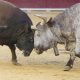 Bulls face a test unlike anything in bitcoin's 17-year history: Crypto Daily