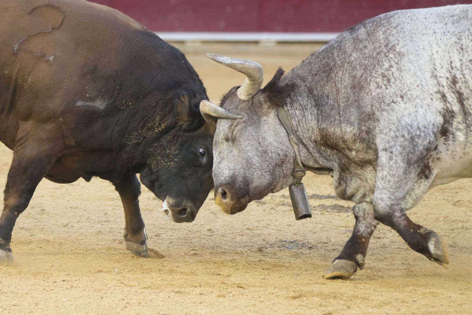 Bulls face a test unlike anything in bitcoin's 17-year history: Crypto Daily