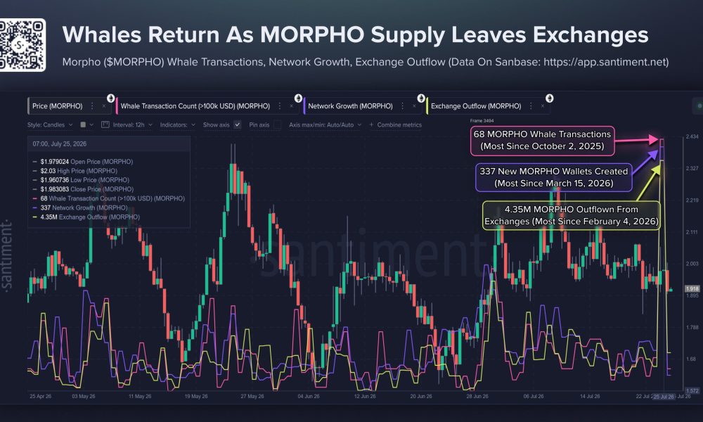 Morpho Whale Transactions, Network Growth, and Exchange Outflows Spike to Multi-Month Highs