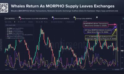 Morpho Whale Transactions, Network Growth, and Exchange Outflows Spike to Multi-Month Highs