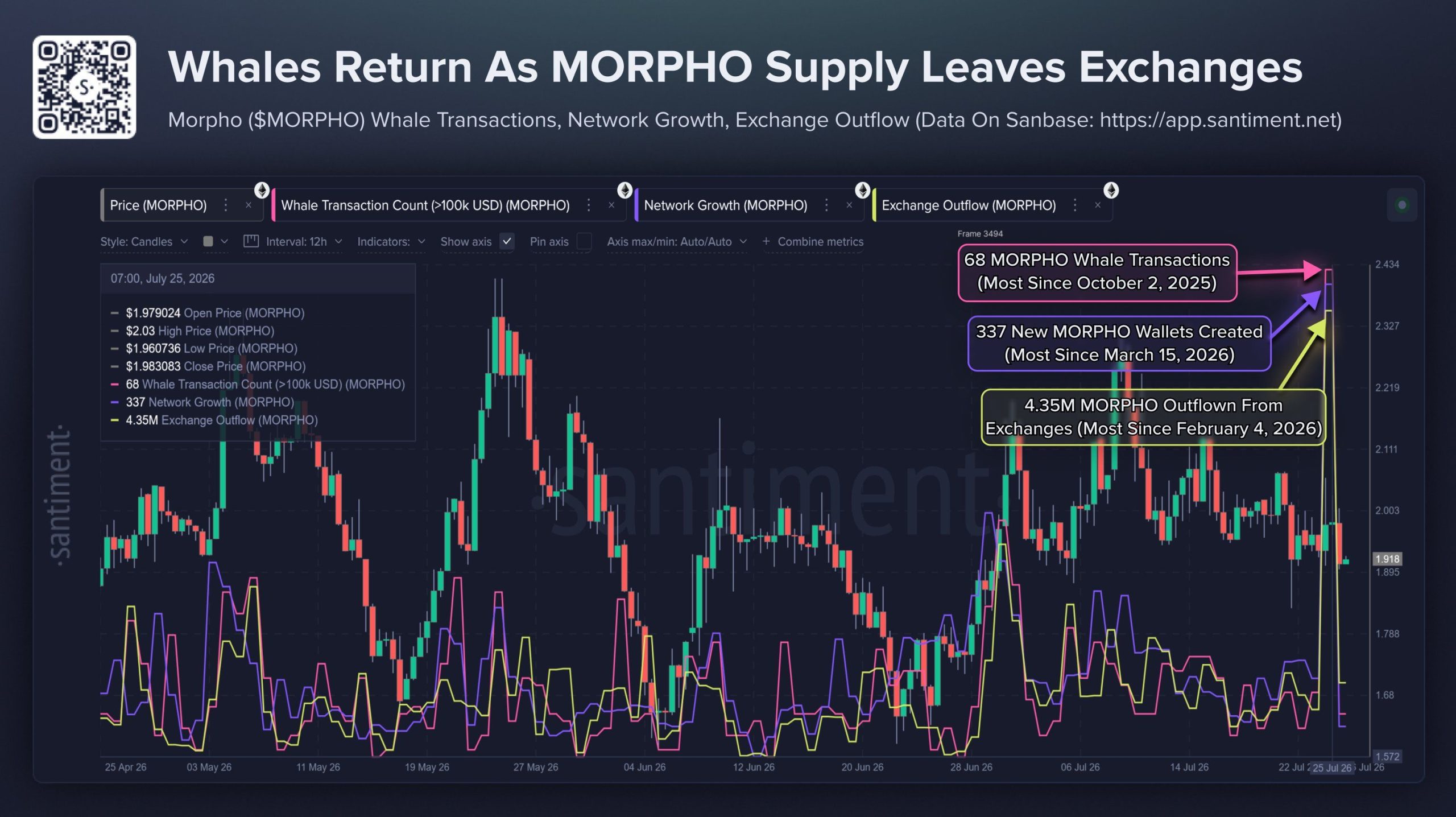 Morpho Whale Transactions, Network Growth, and Exchange Outflows Spike to Multi-Month Highs