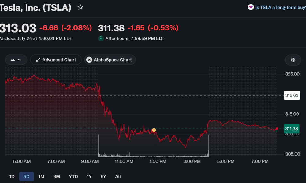 tesla stock